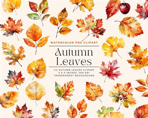 Watercolor Autumn Leaves Clipart, Autumn Clipart, Autumn Leaves ...