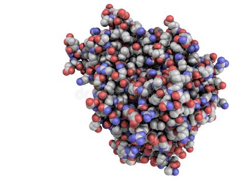 Tumor Necrosis Factor Alpha Tnf Cytokine Protein Molecule D