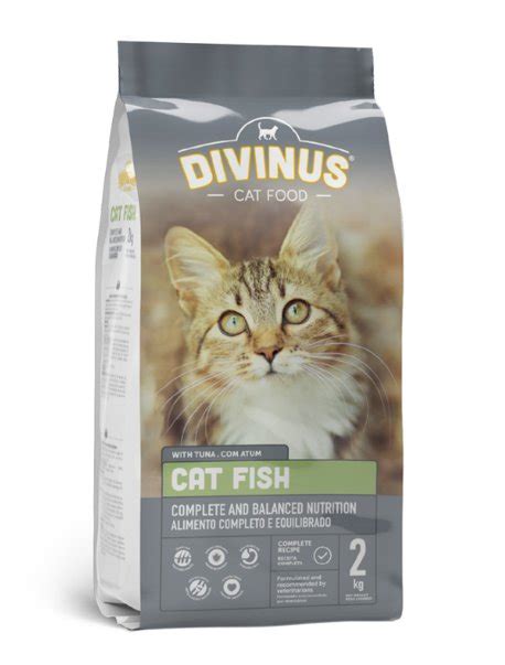 Divinus Cat Fish 2Kg Sucha Karma Dla Kotów Dorosłych Alpha spirit