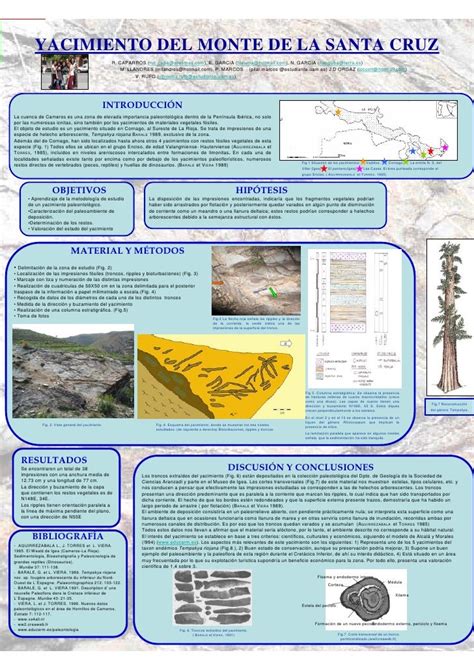 Poster Cientifico Powerpoint Plantilla Charcot