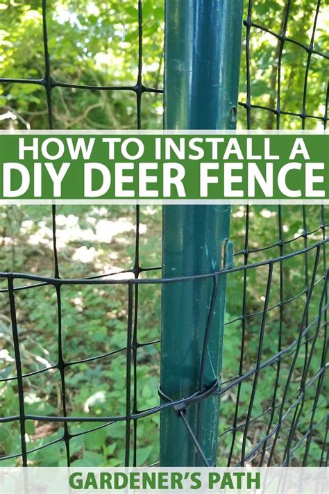 How To Install A Deer Fence To Keep Wildlife Out Of The Garden Diy Garden Fence Deer Fence