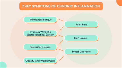 What Is Chronic Inflammation All You Need To Know