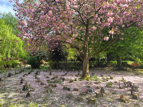 Why the bentley crematorium gardens are famous for their beauty 7