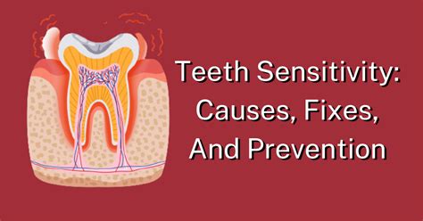 Teeth Sensitivity Causes Fixes And Prevention Dental Insurance