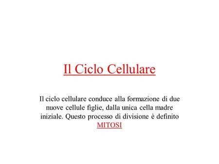 La Scienza Dellereditariet Ppt Scaricare