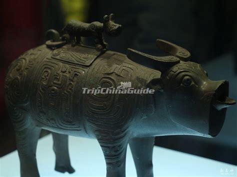 Shaanxi History Museum - Shaanxi History Museum Pictures, Xian