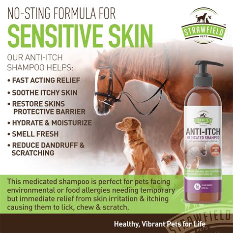 how to help dogs dry itchy skin