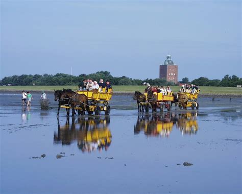 Nationalpark Hamburgisches Wattenmeer Nationale Naturlandschaften