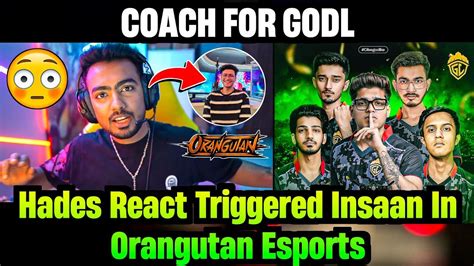 Godl Hades React Coach For Godlike Reply On Triggered Insaan In