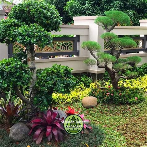 Jual Desain Taman Bonsai Cemara Udang Dan Bonsai Beringin Korea