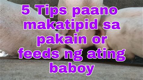 Tips Paano Makatipid Sa Pakain Or Feeds Sa Ating Mga Baboy Alamin