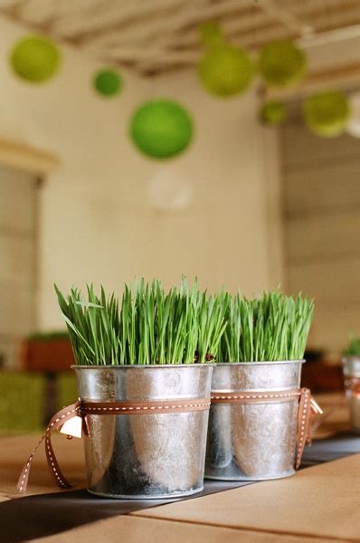 Wedding Planning And Ideas Inexpensive Centerpieces Wheat Grass Centerpiece Grass Centerpiece