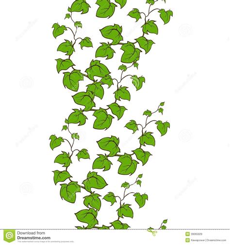 climber plant drawing images  santiago vanmatre blog