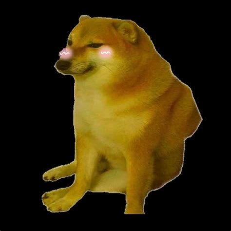 Cute and Funny Doge Meme