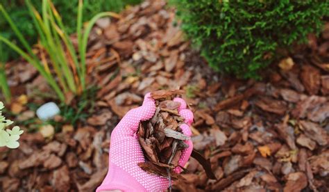 How To Mulch A Garden Your Diy Backyard