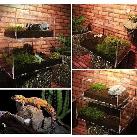 SOLEDI Acrylic Transparent Terrarium Reptiles Livi Grandado