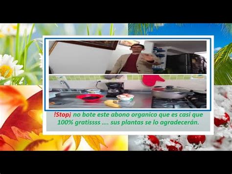 Excelentes Tips De Abono Organico Youtube