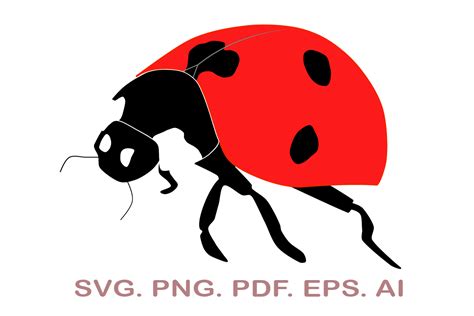 Ladybug Svg Graphic By Narcreativedesign Creative Fabrica