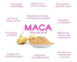 Beneficios De La Maca Peruana Para Qu Sirve Realmente Tienda