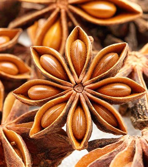 Star Anise Nutritional Benefits Besto Blog