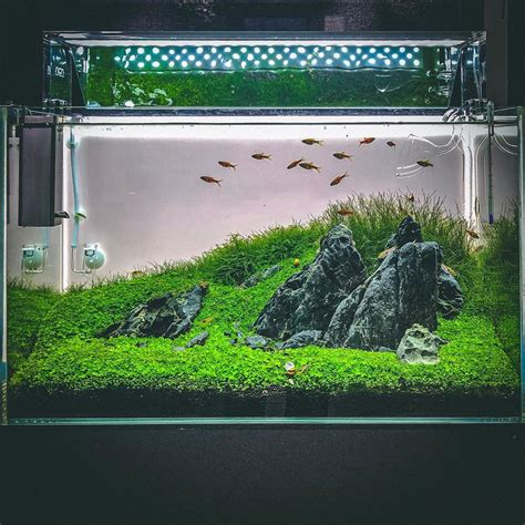 Aqua One Nano Fish Tank Benia Aquarium Fish