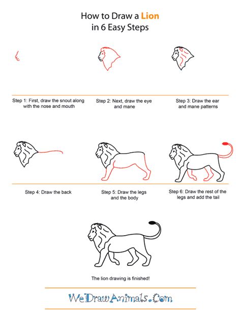 How To Draw A Lioness