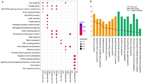 A Kegg Pathway Bubbles Enriched By Differentially Expressed Mirnas