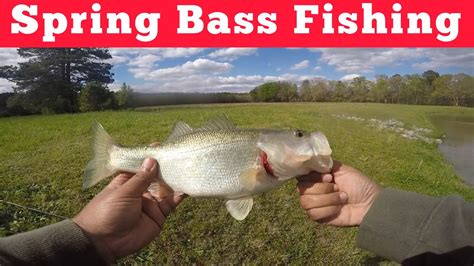 Spring Bass Fishing What A Day Youtube