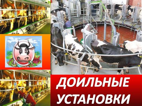 Доильные установки - презентация онлайн