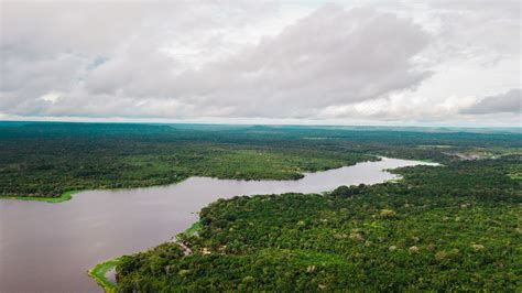 Pará tem seis das dez áreas de proteção ambiental mais ameaçadas na