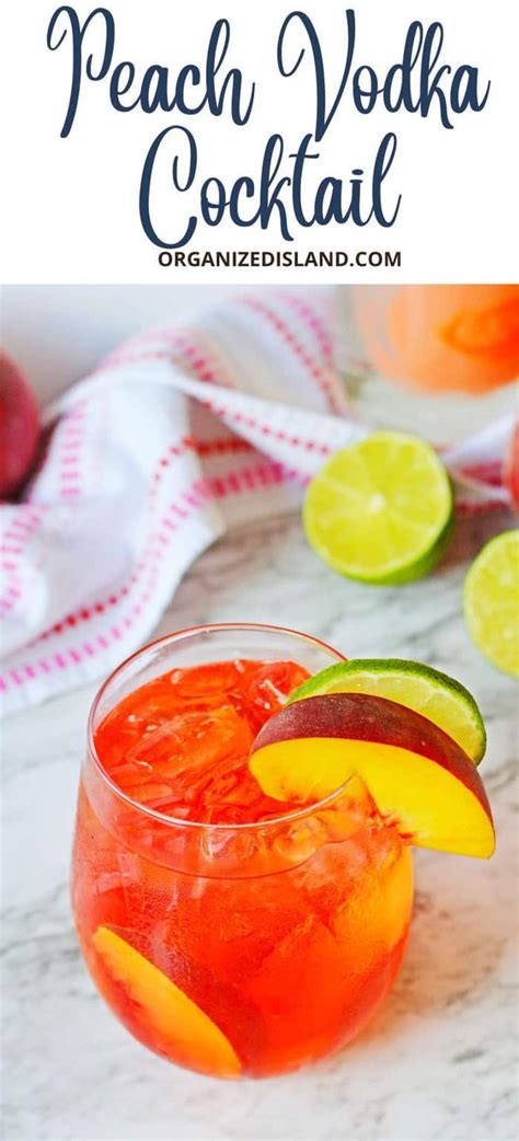 This Sparkling Peach Vodka Cocktail Is The Perfect Beach Cocktail For A