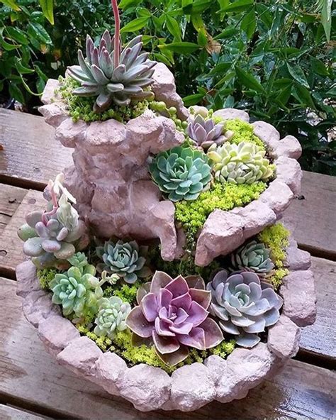 55 creative DIY succulents ideas for you - Page 51 of 55 - SooPush