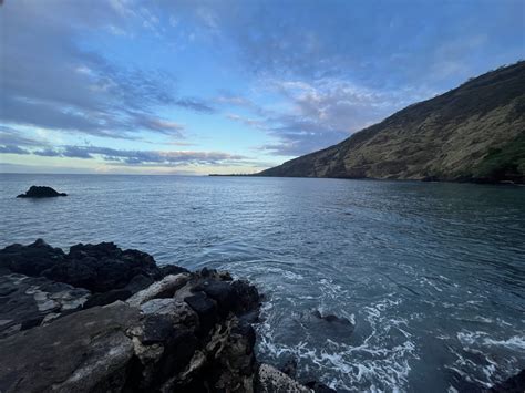 4/24/25 – INVASIVE SPECIES REMOVAL EVENT COMING TO KEALAKEKUA BAY STATE