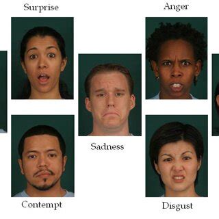 Universal facial expressions of basic emotions [8] | Download Scientific Diagram