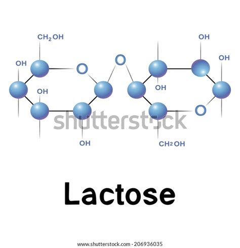 Lactose Molecule Structure Biochemistry Chemistry Raster Stock Illustration 206936035 Shutterstock