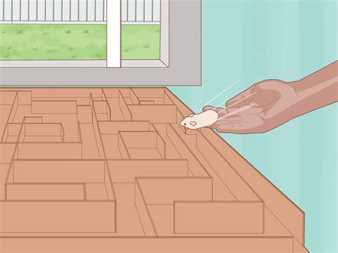 How to Build a Hamster Maze (with Pictures) - wikiHow