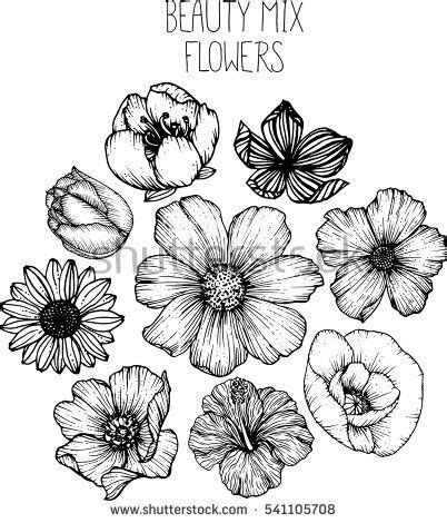 Pin By Ksuf Rud On Imprimibles Flower Drawing Flower Sketches Art