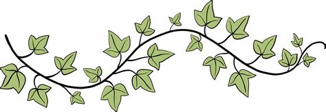 Simplicity Ivy Freehand Drawing Flat Design 17392127 PNG