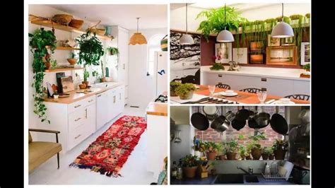 Como Decorar Con Plantas La Cocina Muy Bella Youtube