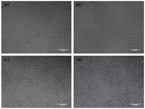 Coatings Free Full Text Comparison Of Corrosion Resistance And