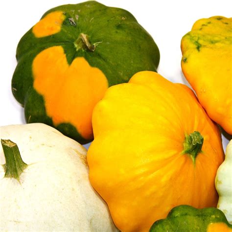 ORGANIC Squash Scallop Blend Seeds – Vermont Wildflower Farm