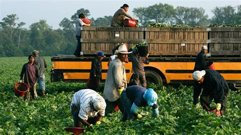 Lawmakers Take Third Swing At Reforming Migrant Worker Visas