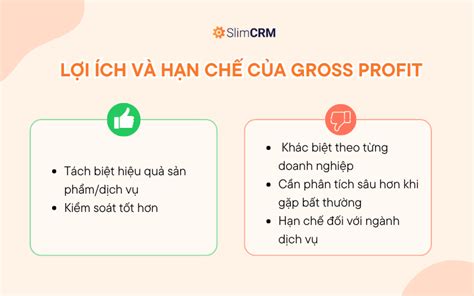 Gross Profit L G C Ch T Nh V D So S Nh V I Net Profit