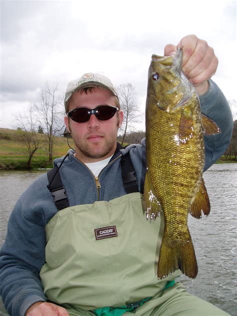 Trophy Small Mouth Bass Photos