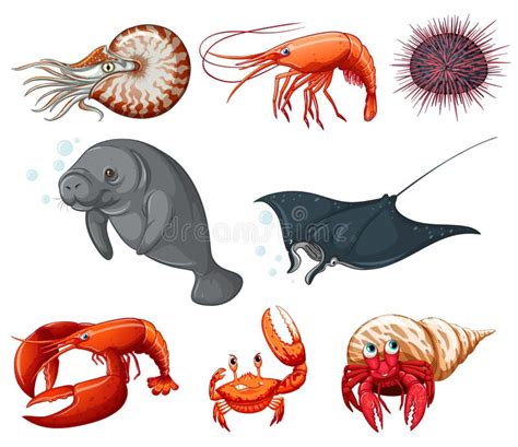 Animais De Mar Ilustra O Do Vetor Ilustra O De Criatura