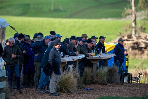 See NZ’s sheep dog trial champs in action