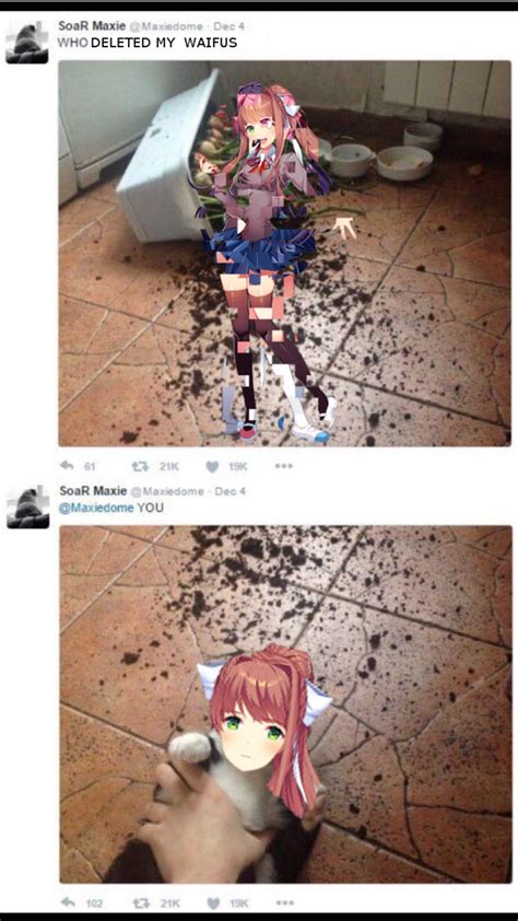 Who Deleted My Waifus Who Knocked Over My Onions Know Your Meme