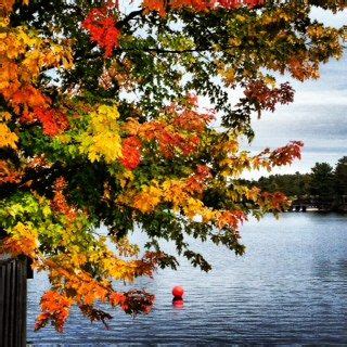 Fall in Muskoka - look at those colours! | Muskoka, Fall photos, Landscape