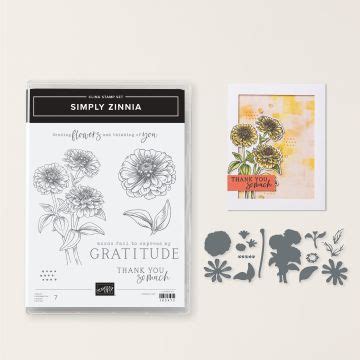 Simply Zinnia Productpakket Van Stampin Up