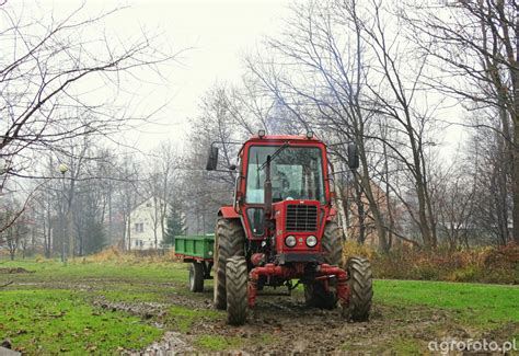 Foto Traktor MTZ 82 Przyczepa 712658 Galeria Rolnicza Agrofoto